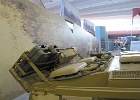 IMG 3029