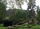 IMG 6728