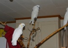 IMG 7741